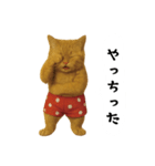 お猫様の吹き出しスタンプ（個別スタンプ：6）