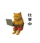 お猫様の吹き出しスタンプ（個別スタンプ：14）