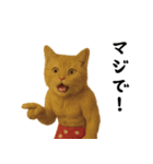 お猫様の吹き出しスタンプ（個別スタンプ：18）