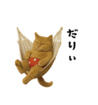お猫様の吹き出しスタンプ（個別スタンプ：19）
