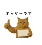 お猫様の吹き出しスタンプ（個別スタンプ：21）