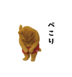 お猫様の吹き出しスタンプ（個別スタンプ：25）