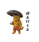 お猫様の吹き出しスタンプ（個別スタンプ：31）