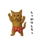 お猫様の吹き出しスタンプ（個別スタンプ：35）