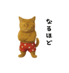 お猫様の吹き出しスタンプ（個別スタンプ：38）
