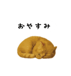 お猫様の吹き出しスタンプ（個別スタンプ：40）