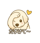 もふもふワンちゃん日常スタンプ（個別スタンプ：16）