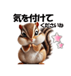 シマリスちゃんの必ず使う！日常会話・敬語（個別スタンプ：5）