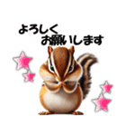 シマリスちゃんの必ず使う！日常会話・敬語（個別スタンプ：14）
