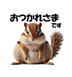 シマリスちゃんの必ず使う！日常会話・敬語（個別スタンプ：19）