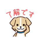 うちのロイちゃんスタンプ（個別スタンプ：3）