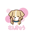 うちのロイちゃんスタンプ（個別スタンプ：4）