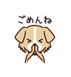 うちのロイちゃんスタンプ（個別スタンプ：5）