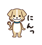 うちのロイちゃんスタンプ（個別スタンプ：6）