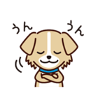 うちのロイちゃんスタンプ（個別スタンプ：8）