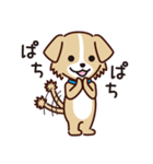 うちのロイちゃんスタンプ（個別スタンプ：9）