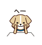 うちのロイちゃんスタンプ（個別スタンプ：10）