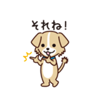うちのロイちゃんスタンプ（個別スタンプ：12）