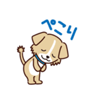 うちのロイちゃんスタンプ（個別スタンプ：13）