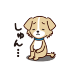 うちのロイちゃんスタンプ（個別スタンプ：14）
