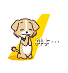 うちのロイちゃんスタンプ（個別スタンプ：15）