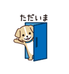 うちのロイちゃんスタンプ（個別スタンプ：17）