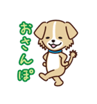 うちのロイちゃんスタンプ（個別スタンプ：19）