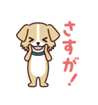 うちのロイちゃんスタンプ（個別スタンプ：20）
