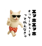 おネコ様のエッホエッホ（個別スタンプ：2）