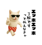 おネコ様のエッホエッホ（個別スタンプ：5）