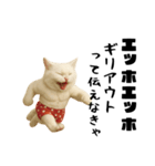 おネコ様のエッホエッホ（個別スタンプ：20）