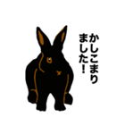 礼儀正しい黒うさぎたち（個別スタンプ：1）