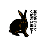 礼儀正しい黒うさぎたち（個別スタンプ：9）