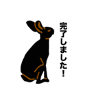 礼儀正しい黒うさぎたち（個別スタンプ：12）