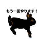 礼儀正しい黒うさぎたち（個別スタンプ：13）