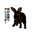 礼儀正しい黒うさぎたち（個別スタンプ：26）
