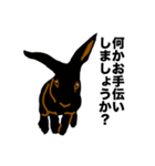 礼儀正しい黒うさぎたち（個別スタンプ：28）