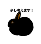 礼儀正しい黒うさぎたち（個別スタンプ：33）