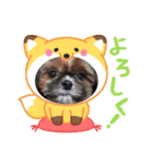 子供たち時々わんこたち（個別スタンプ：13）