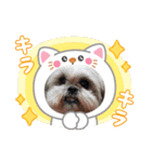 子供たち時々わんこたち（個別スタンプ：16）