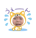子供たち時々わんこたち（個別スタンプ：18）