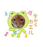 Chiro ＆ Dale（個別スタンプ：2）