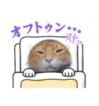 Chiro ＆ Dale（個別スタンプ：3）