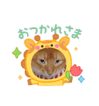 Chiro ＆ Dale（個別スタンプ：9）
