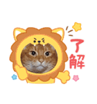 Chiro ＆ Dale（個別スタンプ：11）