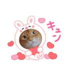 Chiro ＆ Dale（個別スタンプ：15）