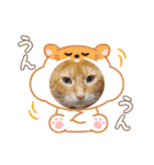 Chiro ＆ Dale（個別スタンプ：16）
