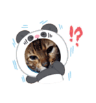 Chiro ＆ Dale（個別スタンプ：18）