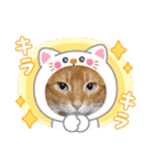 Chiro ＆ Dale（個別スタンプ：21）