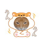 Chiro ＆ Dale（個別スタンプ：24）